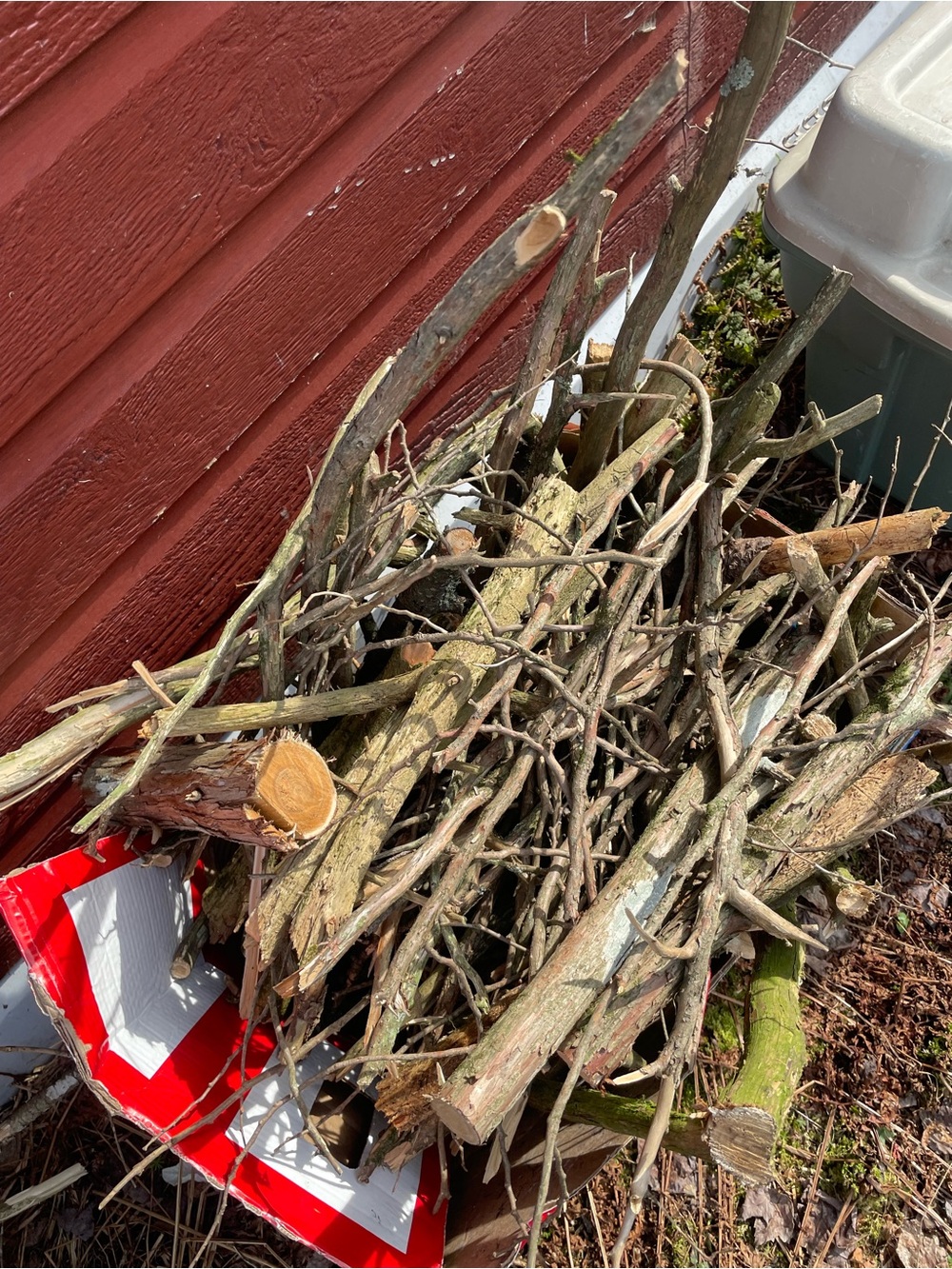 Bundle of Natural Firewood and Kindling Sticks
